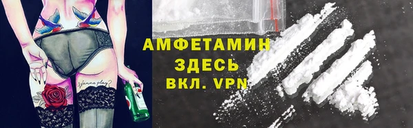 сатива Аркадак