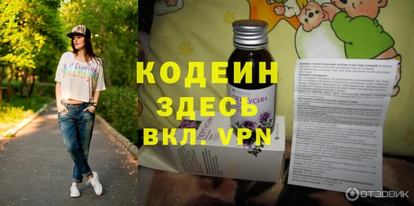 сатива Аркадак