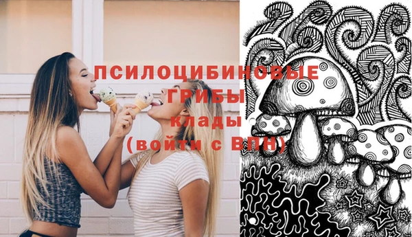 сатива Аркадак