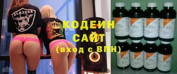 сатива Аркадак